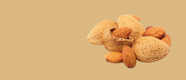 inshell almond